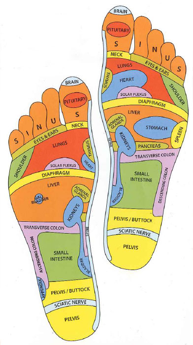 reflexology chart for the feet, 